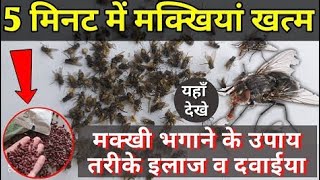 मक्खियां भगाने के चम्तकारी घरेलू उपाय / मक्खी भगाने का तरीका Home remedies to get rid of flies Hindi