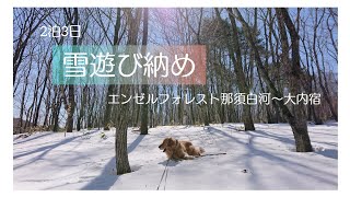 【愛犬とコテージ泊】雪遊びと自炊飯と大内宿と…盛りだくさんの2泊3日がめちゃめちゃ楽し過ぎた！