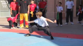 Sitang's ChuJiYiLu（初级一路）-- SV Kung Fu Academy