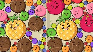 Melon Drop Fruit Merge Master - Watermelon Game (Ep 5)