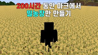 200시간 동안 야생에서 10만평 밀농장만 만들면 생기는 일