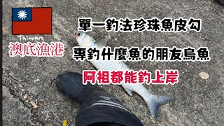 （第118集）澳底魚港單一釣法珍珠魚皮勾專釣虱目魚的朋友烏魚