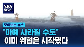 동해안 일상 전체를 위협한다…바다도 하천도 생태계도 위험 / SBS / 모아보는 뉴스