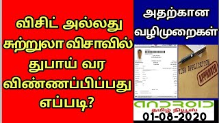 UAE TAMIL NEWS# விசிட் அல்லது சுற்றுலா விசாவில் துபாய் வர  விண்ணப்பிப்பது எப்படி?