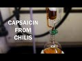 How to extract capsaicinoids from chili peppers