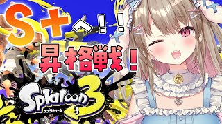 【スプラトゥーン3】ついに！S+の昇格戦に挑むときがきたイカ🦑【綵てまり/Vtuber】#てまらいぶ