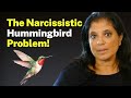 Dr. Ramani's Narcissistic Hummingbird Problem