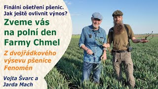 Jak ovlivnit výnos pšenice? Co uvidíte na polním dni Farmy Chmel? |  Vojta Švarc a Jarda Mach