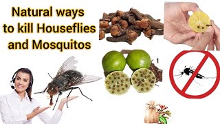 Natural ways to kill houseflies and mosquitoes