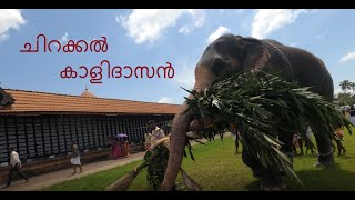 Koodalmanikyam Aanyoott 2022: കൂടൽമാണിക്യത്തെ ഗണപതിക്ക് ആനയൂട്ട്