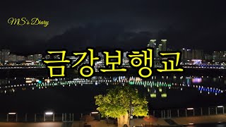 금강보행교/ 이응다리/ 야경/ 밤산책/ 세종시/ 비오는날 /세종가볼만한곳/ 대전근교/ 여행/