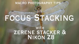 Macro Photography Tips: Focus Bracketing and Stacking with Zerene Stacker