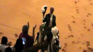 Portuguese Bull Fight Part 11