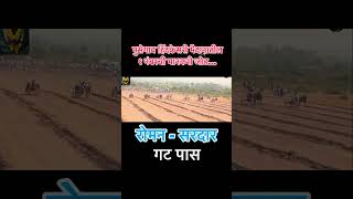 पुसेगाव हिंदकेसरी मैदानाची मानकरी जोडी रोमन \u0026 सरदार गट पास|P3 live|bailgada sharyat live#बैलगाडा #dj