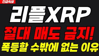 [리플 XRP]🔴매도금지🔴2월 10일을 기점으로 폭등할 겁니다.