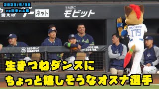 オスナ選手　目の前でみるきつねダンスにちょっと嬉しそう？　2023/5/30 vs日本ハム