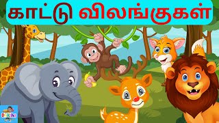 காட்டு விலங்குகள் | Wild animal names in tamil | Dhiksha Learning | Kattu vilangugal