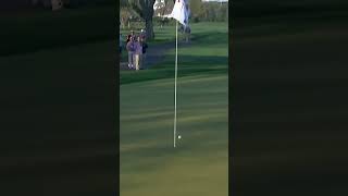 What a shot by Victor Hovland @ the 2023 Arnold Palmer Invitational #golf  #shorts #viral  #short