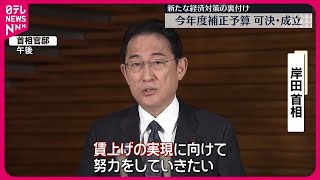 【今年度補正予算】新たな経済対策の裏付け  野党2党も賛成し可決・成立