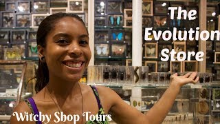 The Evolution Store Witchy Shop Tour