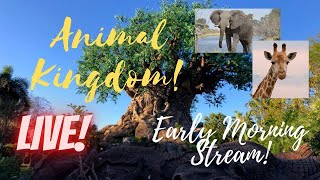 🔴LIVE: Disney’s Animal Kingdom | Disney World Livestream | 2/16/2025