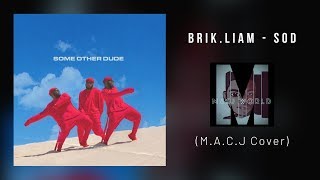 Some Other Dude - Brik.Liam (M.A.C.J Cover)