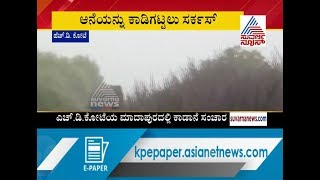 Wild Elephants Found In HD Kote