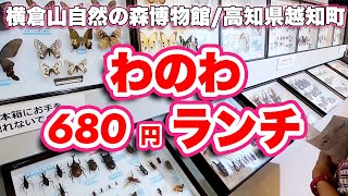 珈琲館苑〜喫茶わのわ2号店【ランチ】〜横倉山自然の森博物館【見学】【旅行VLOG】高知県高岡郡日高村本郷,駐車場,安藤忠雄,龍馬パスポート,竜とそばかすの姫,牧野富太郎,越知町,越知