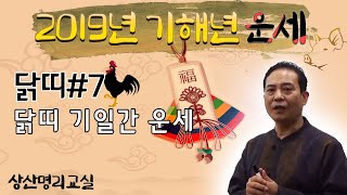 [기해년운세 #107, 2019년운세] 닭띠 기일간 운세