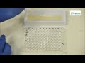 MIC by Microbroth dilution method