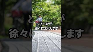 だんだん変わる画像クイズ｜暇つぶしアハ体験 公園編