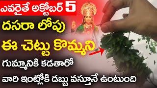 ఎవరైతే అక్టోబర్ 5 దసరా లోపు ఈ చెట్టు కొమ్మని గుమ్మానికి కడతారో వారి ఇంట్లో డబ్బు వస్తూనే ఉంటుంది