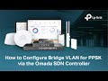 How to: Configure Bridge VLAN for PPSK via the Omada SDN Controller