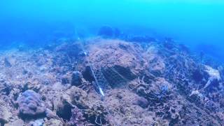 Dive Downbelow Ghost Net Removal November 2014