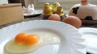 Tojás, iker tyúktojások, kétszikű, 3 twin hen eggs