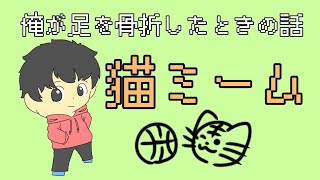 【猫ミーム】俺が、体育で足を骨折した時の話