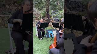 Wildest Dreams - Los Angeles String Quartet - Los Angeles Wedding Ceremony Music - JSM Strings