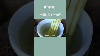 「科普」甘蔗汁如何制作的？