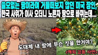 쓸모없는 땅이라며 거들떠보지 않던 미국 장인, 한국 사위가 이사 오더니 노른자 땅으로 바뀌는데...