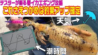 春イカエギング攻略！釣れやすいタイミング、状況を理解して釣果アップ！初心者の為のエギング攻略講座