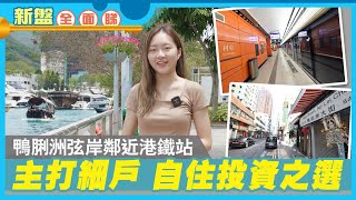 【新盤全面睇】鴨脷洲弦岸距港鐵站數分鐘步程 主打細戶 自住投資之選