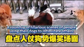 盘点人仗狗势的爆笑场面！A roundup of hilarious scenes of people using their dogs to intimidate others.