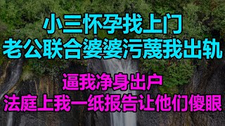 小三怀孕找上门，老公联合婆婆污蔑我出轨，逼我净身出户，法庭上我一纸报告让他们傻眼！