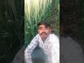 jignesh barot and rakesh barot ki video status jiv va