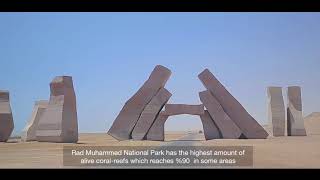 محمية رأس محمد/ Ras Mohamed nature reserve documentary