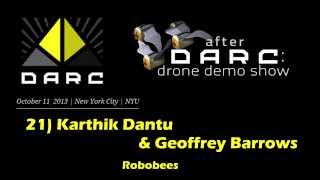 DARC21:  Karthik Dantu \u0026 Geoffrey Barrows - RoboBees