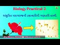 12th biology practical 2 અંકુરિત પરાગરજની ટકાવારીની ગણતરી કરવી.