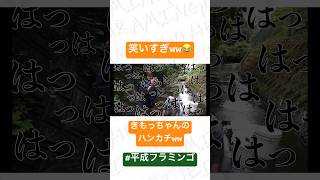 この笑い方で誰も気にしてないのも笑うwww #切り抜き集 #平成フラミンゴ #切り抜き #面白集