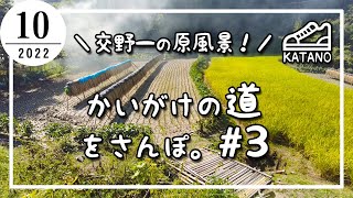 【交野】交野一の原風景！かいがけの道をさんぽ。#3【散歩】