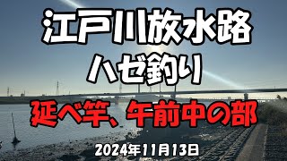 江戸川放水路ハゼ釣り（2024年11月13日）